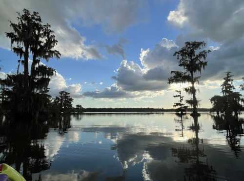 A serene lake scene with cypress trees, reflecting clouds and sunlight on the water's surface.