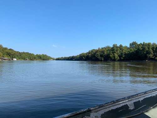 A calm river scene with lush green trees lining the banks under a clear blue sky.