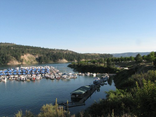 A serene lake scene with a marina filled with boats, surrounded by green hills and clear blue skies.