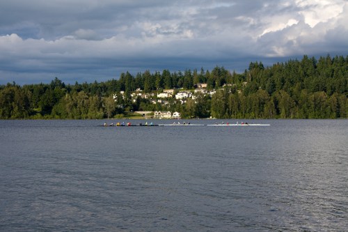 A calm lake with a rowing team in the foreground and a forested hillside with houses in the background.