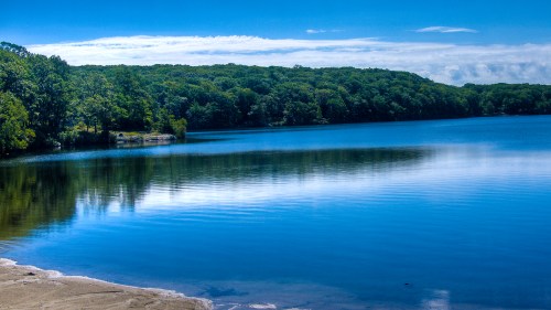 A serene lake surrounded by lush green trees under a clear blue sky, with calm water reflecting the landscape.