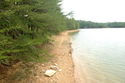 A serene lakeshore lined with trees, featuring a sandy beach and calm water under a cloudy sky.