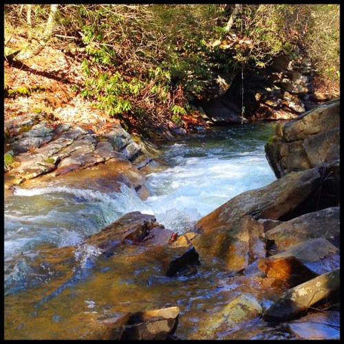 A serene stream flows over rocks, surrounded by lush greenery and autumn leaves in a peaceful natural setting.