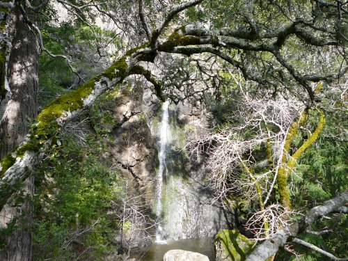 A serene waterfall cascades down rocky terrain, framed by lush greenery and twisted branches.