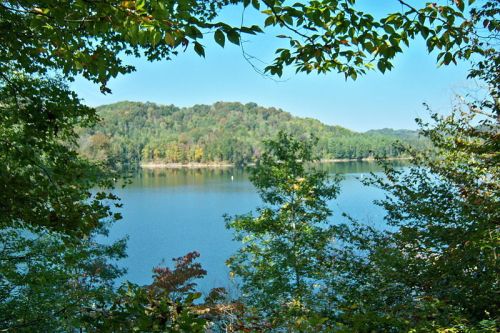 A serene lake surrounded by lush greenery and hills under a clear blue sky.