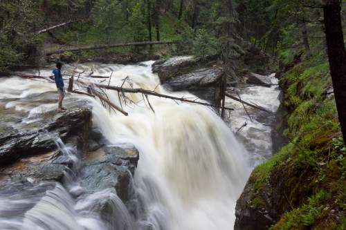 A person stands on a rock near a rushing waterfall, surrounded by lush greenery and fallen branches.