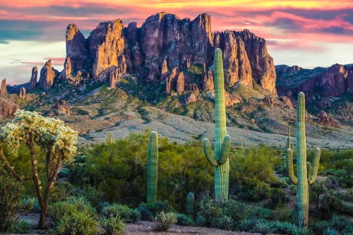 A desert landscape featuring tall cacti and rugged mountains under a colorful sunset sky.