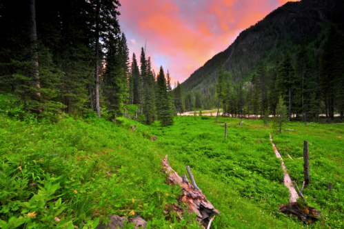 A vibrant landscape featuring lush green grass, tall trees, and a colorful sunset sky over a mountain valley.
