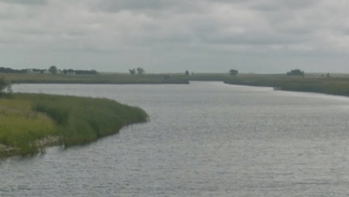 A serene river flows through lush green grasslands under a cloudy sky.