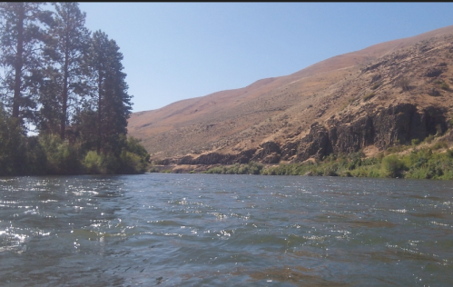A serene river flows through a landscape of hills and trees under a clear blue sky.