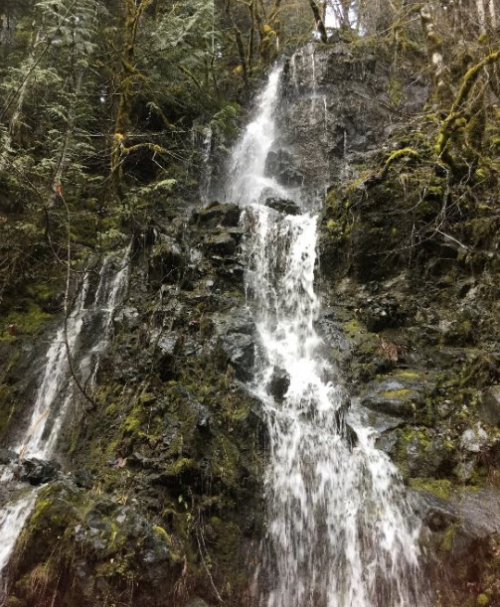 A cascading waterfall flows down a rocky cliff, surrounded by lush green trees and moss.
