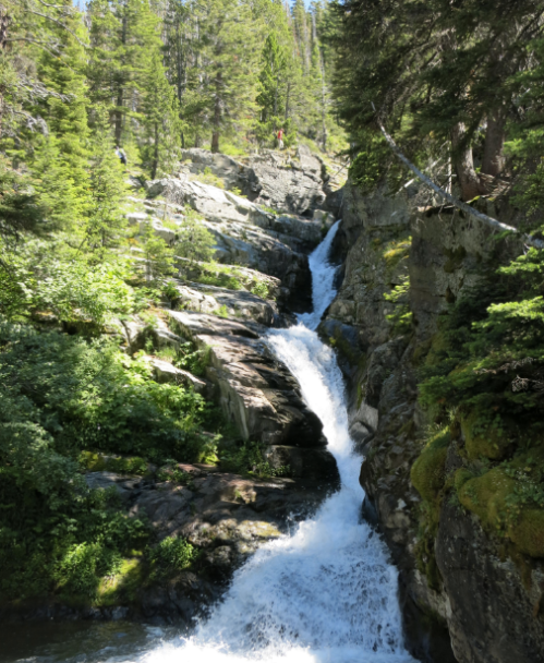 A cascading waterfall flows down rocky terrain, surrounded by lush green trees and vibrant foliage.