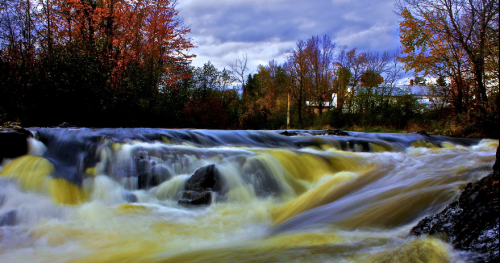 A flowing river with golden water, surrounded by autumn trees and a cloudy sky in the background.