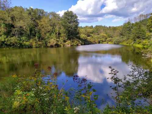 A serene lake surrounded by lush greenery and trees, reflecting clouds in the calm water under a blue sky.