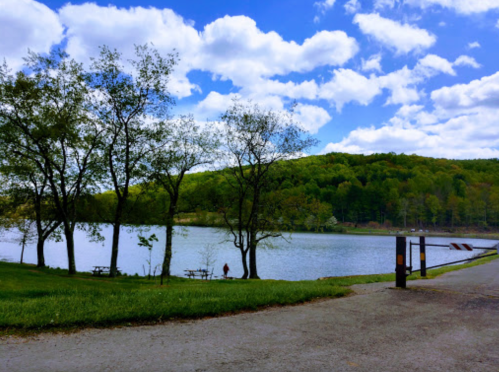 A serene lake surrounded by trees and green hills under a blue sky with fluffy clouds. A person walks along the shore.