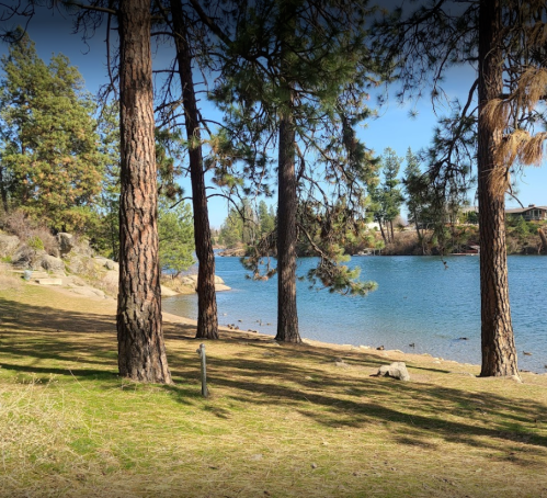 A serene lakeside scene with tall trees, grassy shore, and calm water under a clear blue sky.