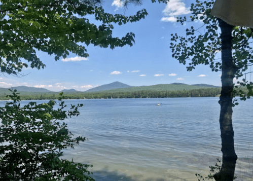 A serene lake view surrounded by trees, with mountains in the background and a clear blue sky.