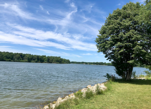 A serene lakeside view with a tree, blue sky, and wispy clouds reflecting on the water's surface.