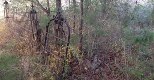 An overgrown area with a rusty, ornate iron fence partially hidden by trees and foliage.