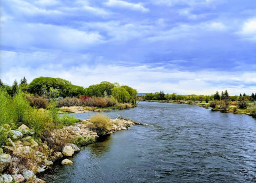 A serene river flows through lush greenery under a cloudy sky, with rocks lining the water's edge.