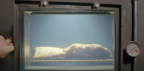 A hand opens a smoker, revealing a piece of meat inside, with smoke and a temperature gauge visible.