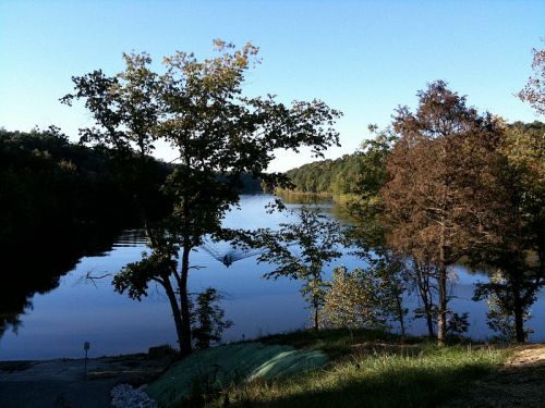 A serene river scene surrounded by trees, reflecting the clear blue sky and lush greenery.