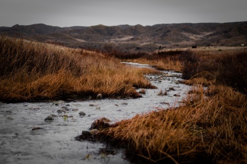 A winding stream flows through dry grasslands, with distant hills under a cloudy sky.