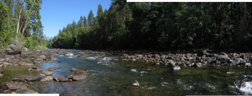 A serene river flows through a forested landscape, with rocky banks and clear blue skies above.