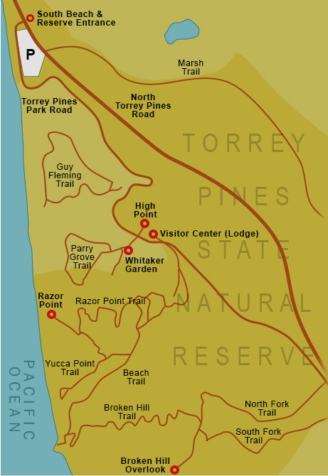 Map of Torrey Pines State Natural Reserve, highlighting trails, visitor center, and beach access points.