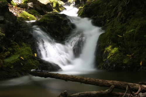 A serene waterfall cascades over moss-covered rocks, surrounded by lush greenery and a fallen log in the foreground.