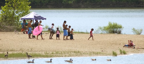 A sandy beach scene with families enjoying the water, children playing, and ducks swimming nearby.