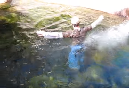 A person swimming in clear water, arms outstretched, surrounded by aquatic plants.