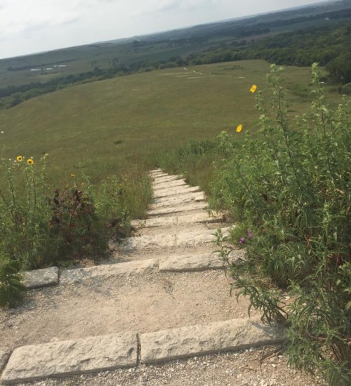 A stone pathway leads down a grassy hill, surrounded by wildflowers and a vast landscape in the background.
