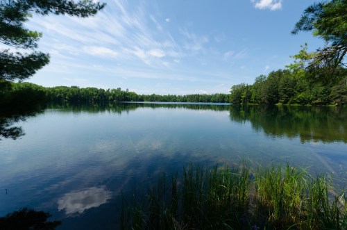 A serene lake surrounded by lush greenery and trees under a clear blue sky with wispy clouds.