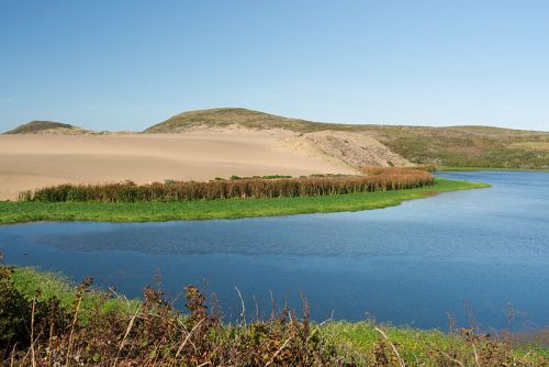 A serene landscape featuring a river, sandy dunes, and lush green vegetation under a clear blue sky.