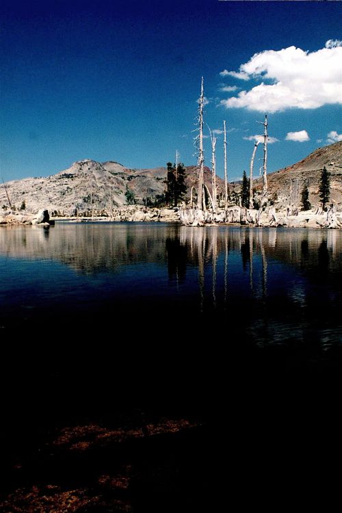 A serene lake reflects mountains and dead trees under a clear blue sky with a few clouds.