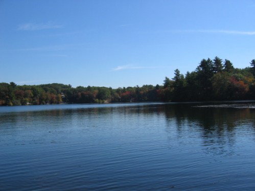A serene lake surrounded by trees with autumn foliage under a clear blue sky.
