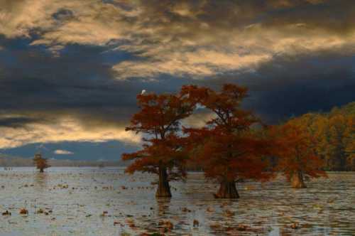 A serene lake scene with cypress trees, autumn foliage, and dramatic clouds reflecting on the water's surface.