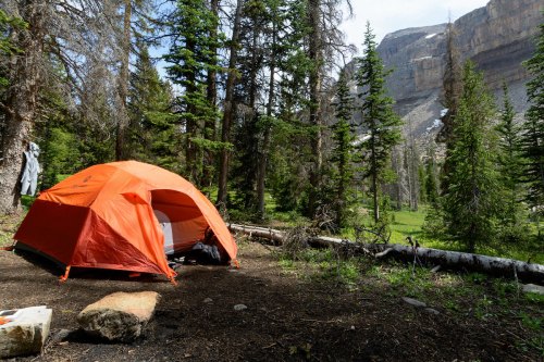 An orange tent set up in a forest clearing, surrounded by tall trees and rocky mountains in the background.