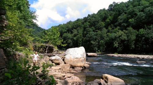 A person walks along a rocky riverbank surrounded by lush green trees and a flowing river under a partly cloudy sky.