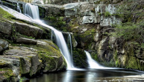 A serene waterfall cascades over moss-covered rocks into a calm pool, surrounded by lush greenery.