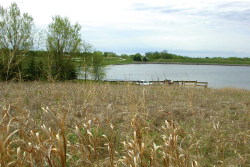 A grassy field with dry plants in the foreground, leading to a calm lake surrounded by trees and a distant road.