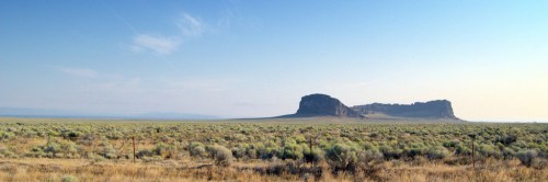A vast desert landscape with low shrubs and a distant rock formation under a clear blue sky.