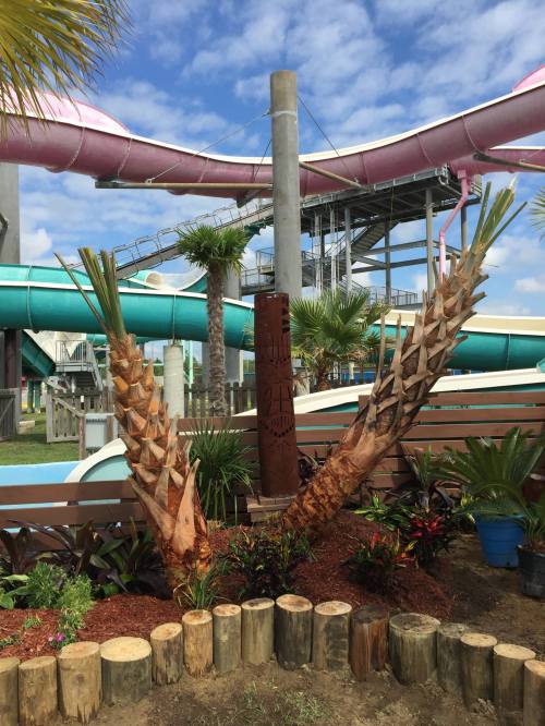 A water park scene featuring colorful water slides, palm trees, and a landscaped area with wooden logs.