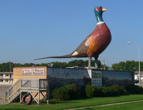A large, colorful statue of a pheasant stands on a platform, welcoming visitors to Huron, South Dakota.
