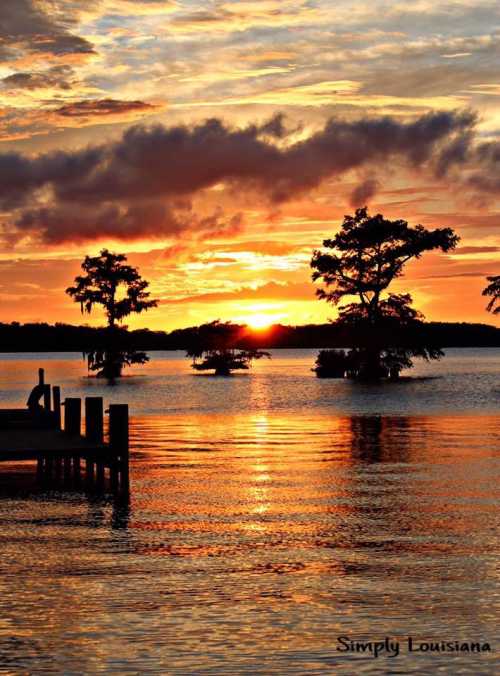 Sunset over a calm lake, with silhouetted trees and a wooden pier reflecting vibrant orange and yellow hues.