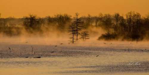 A serene landscape at dawn, featuring mist over a calm lake with silhouetted trees against a golden sky.