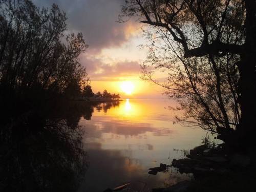 A serene sunset over a calm lake, with trees framing the scene and reflections shimmering on the water.