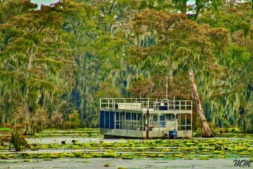 A houseboat surrounded by lush greenery and water lilies in a serene, swampy landscape.