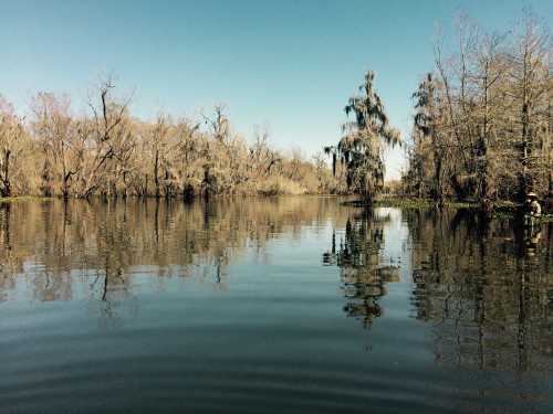 A serene lake surrounded by bare trees, reflecting the clear blue sky and calm water.